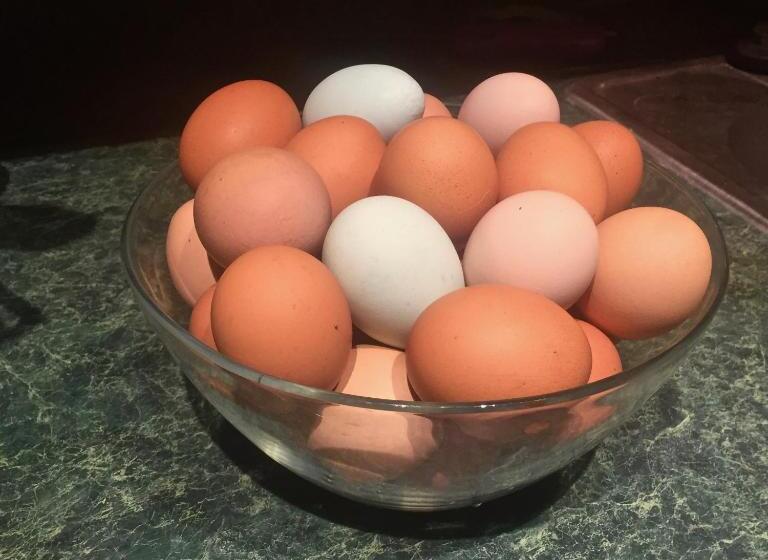 Cooperstown Bed And Breakfast