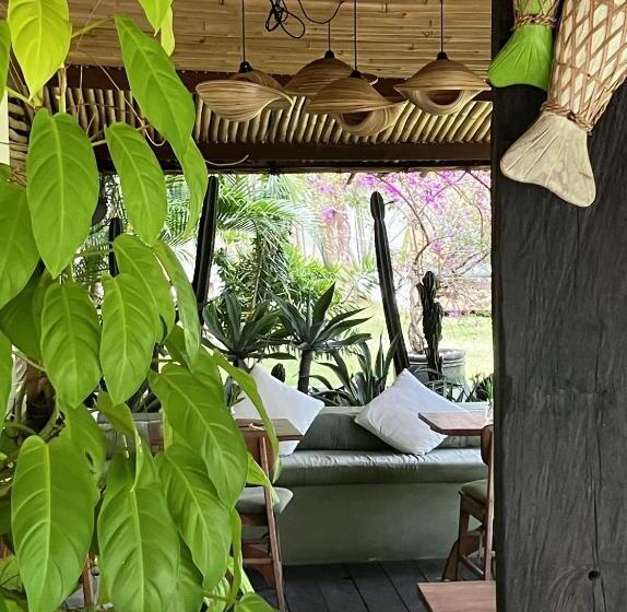 ホテル Mule Malu Tropical Stay