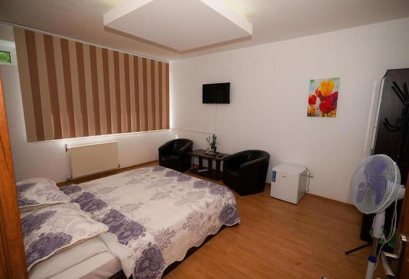 בית מלון כפרי Pensiunea Dolce