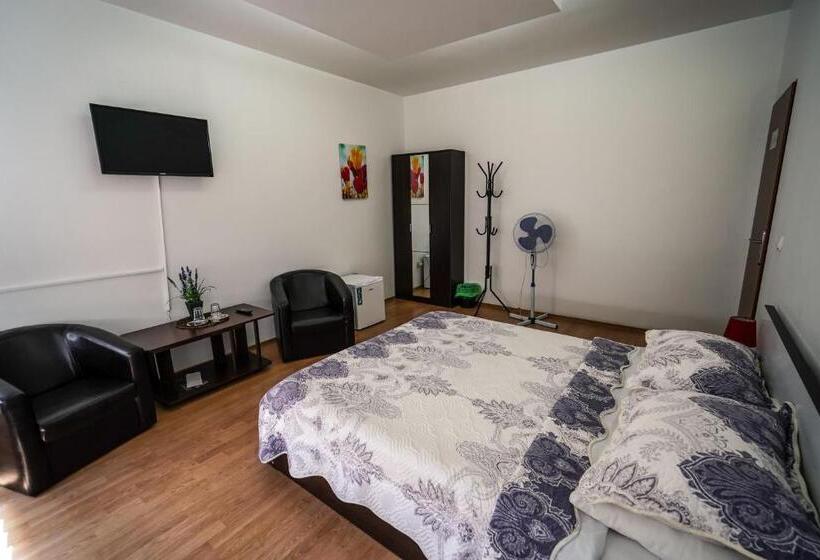 בית מלון כפרי Pensiunea Dolce