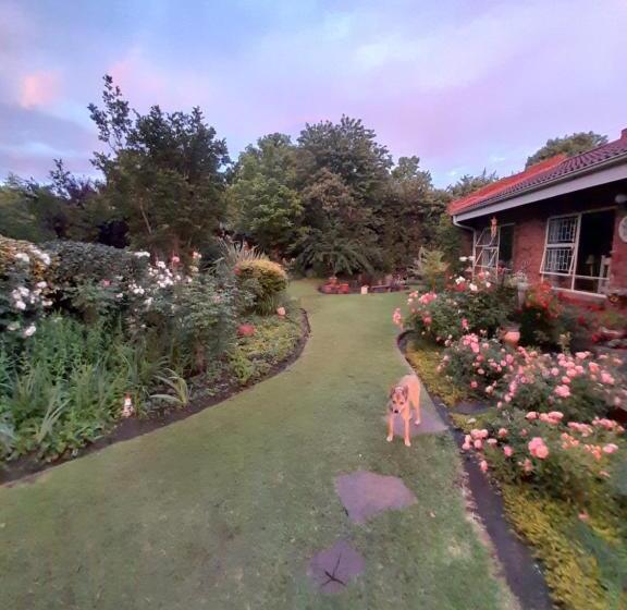 بنسيون Amani Guest House Clarens