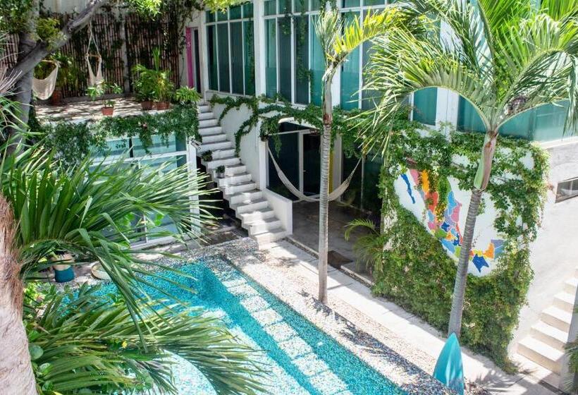 פנסיון Casa Daikiri