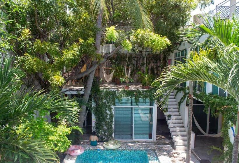 פנסיון Casa Daikiri