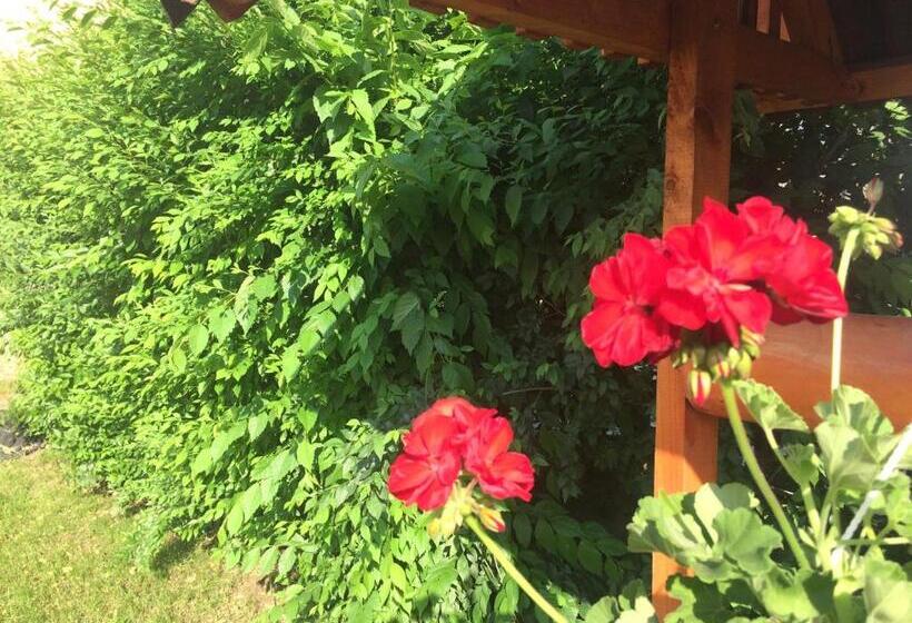 ペンション Casa Green Garden