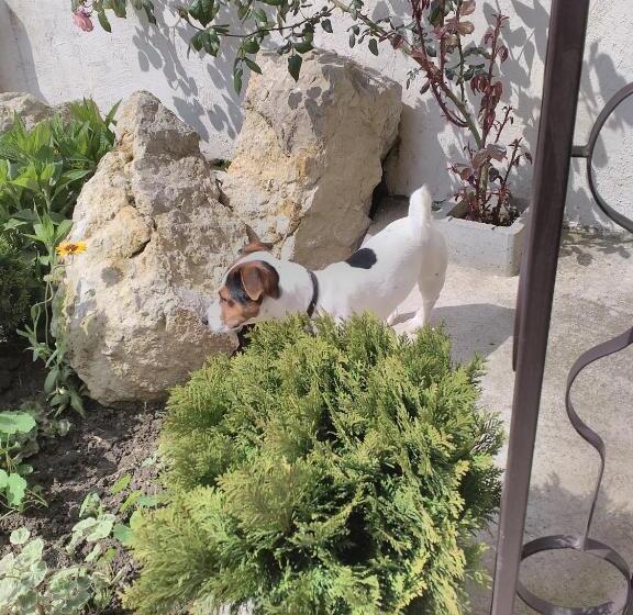 膳宿费 Guest House Gurkov