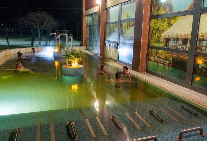 膳宿费 Karikatúra Vendégház