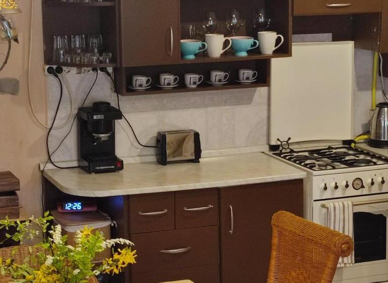 膳宿费 Karikatúra Vendégház