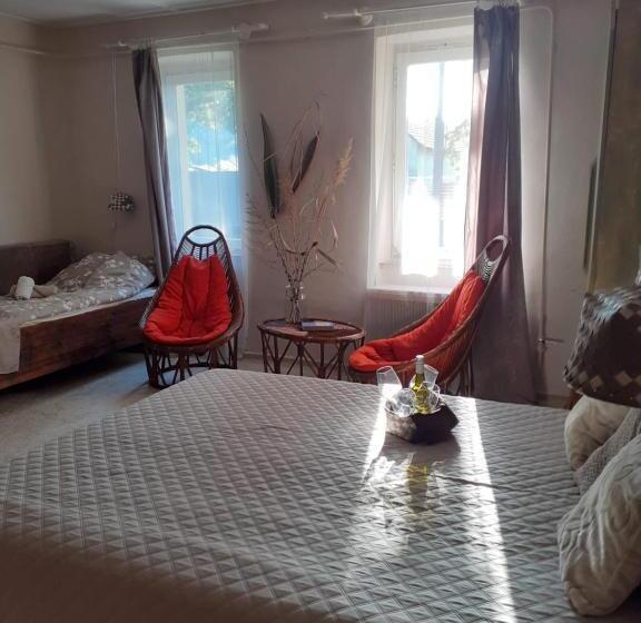 膳宿费 Karikatúra Vendégház