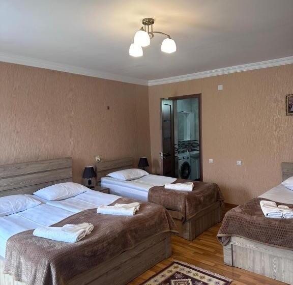 膳宿费 Kazbegi Guide