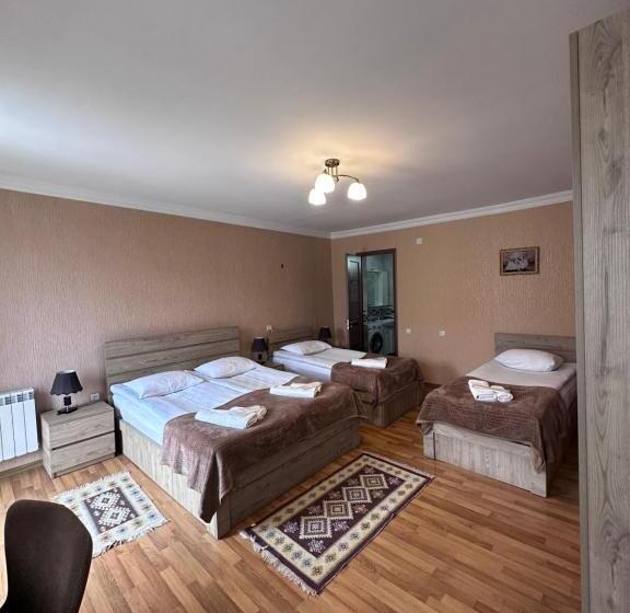 膳宿费 Kazbegi Guide