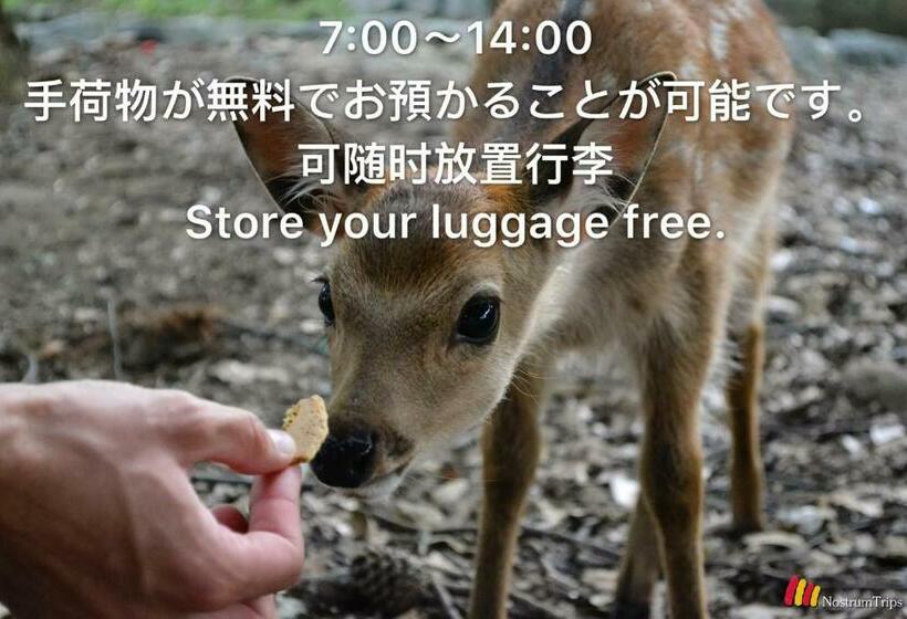 بنسيون Mini Inn Nara    外国人向け   日本人予約不可