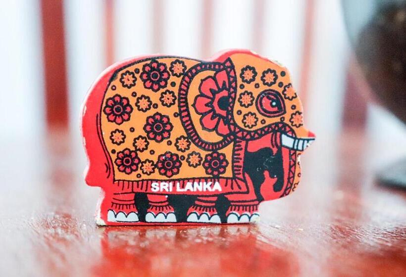 بنسيون Nature Home