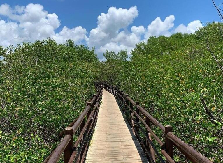 פנסיון Pousada Quinta Do Patacho