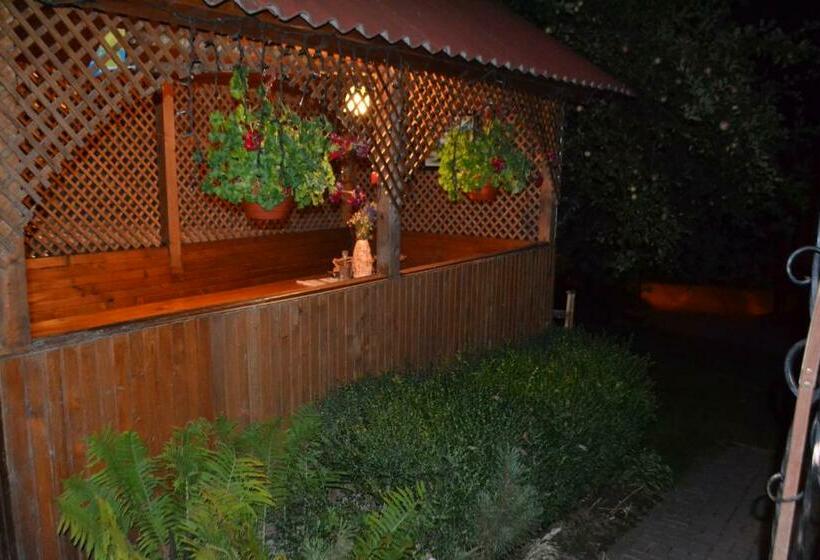 پانسیون Sadyba U Lesi