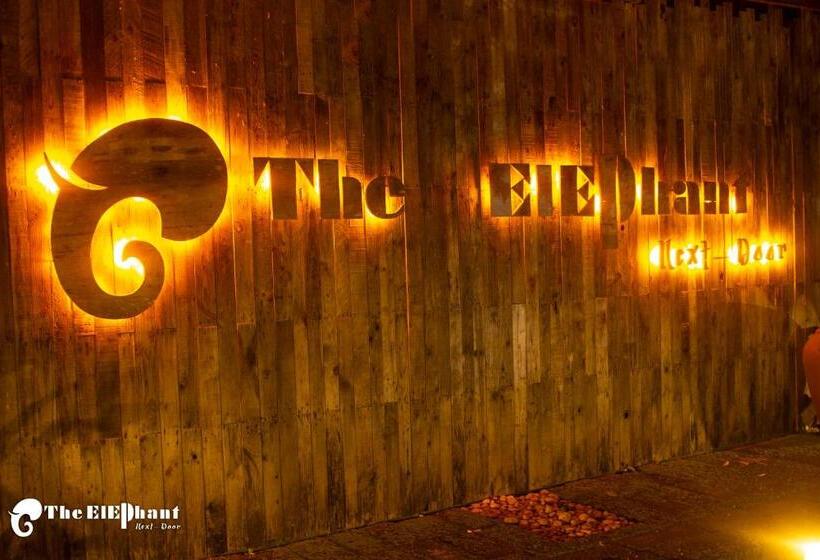 بنسيون The Elephant Next Door