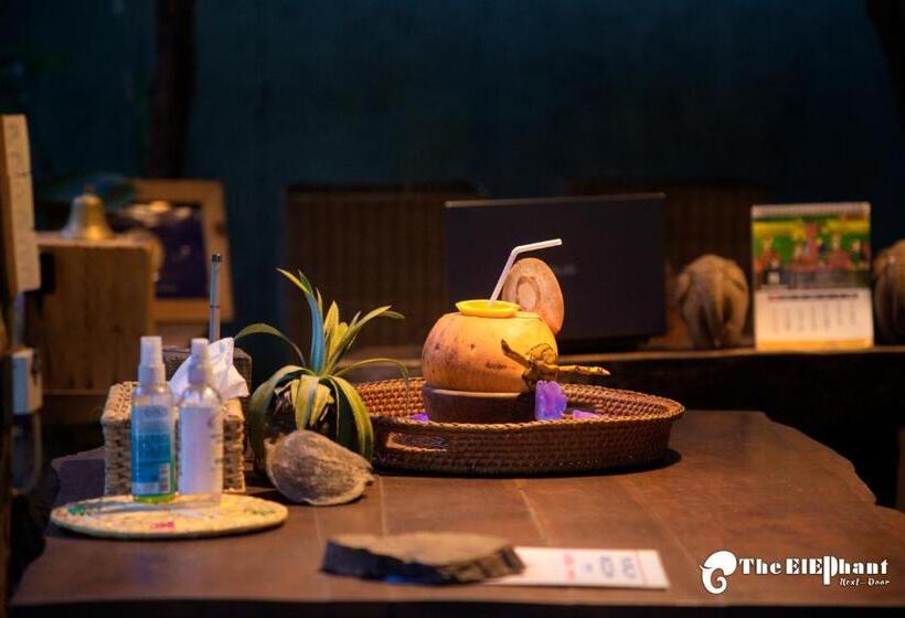 بنسيون The Elephant Next Door