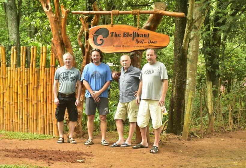 פנסיון The Elephant Next Door