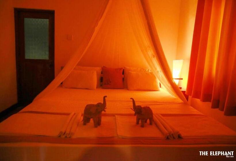 بنسيون The Elephant Next Door