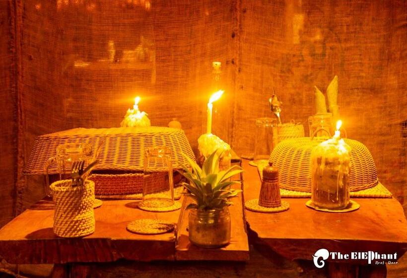 بنسيون The Elephant Next Door