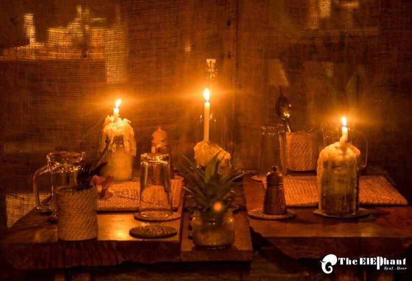 بنسيون The Elephant Next Door