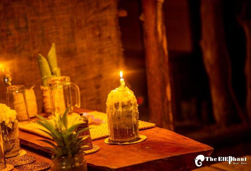 פנסיון The Elephant Next Door