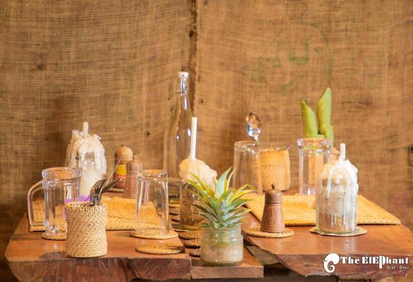 بنسيون The Elephant Next Door