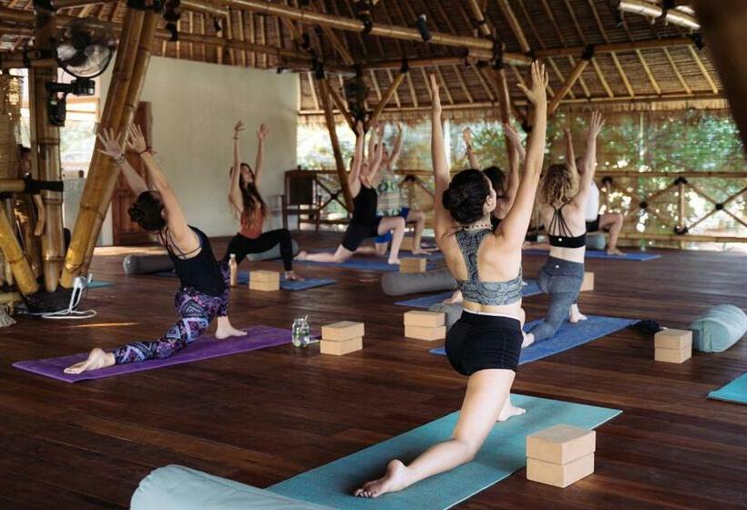استراحتگاه Flowers & Fire Yoga Garden