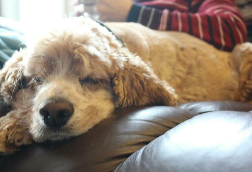 Sunshine House Bed And Breakfast