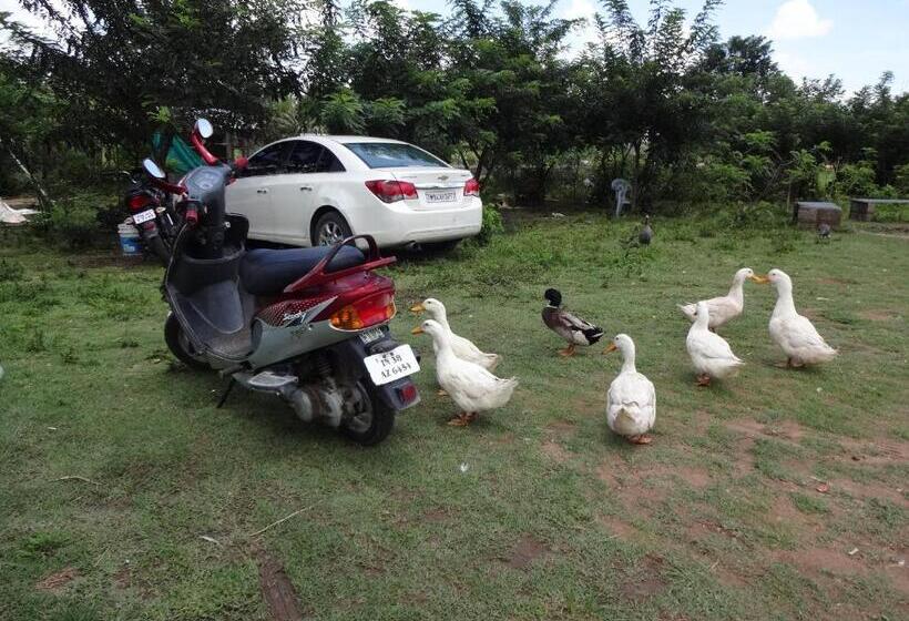 فندق صغير Green Hills Farm And Guest House