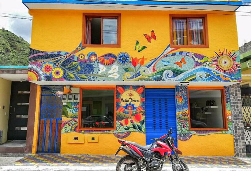 הוסטל Hostal Timara