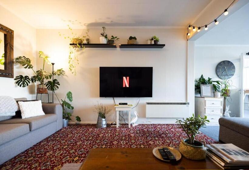 הוסטל Oamaru Backpackers