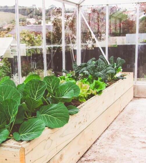 הוסטל Oamaru Backpackers