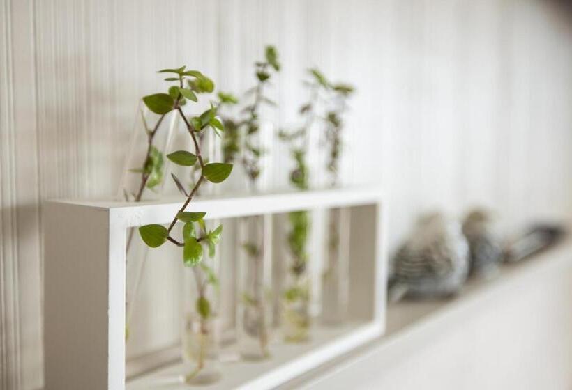 הוסטל Oamaru Backpackers