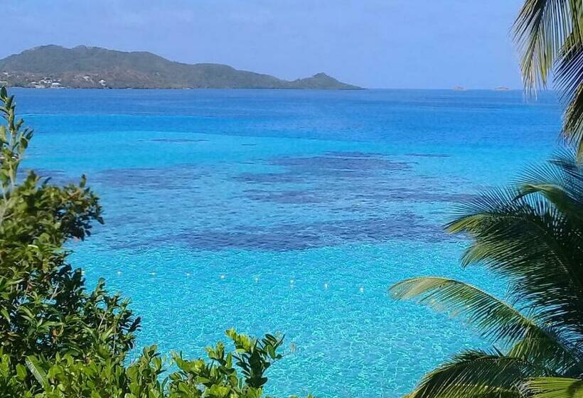 فندق صغير Posada Mango Tree