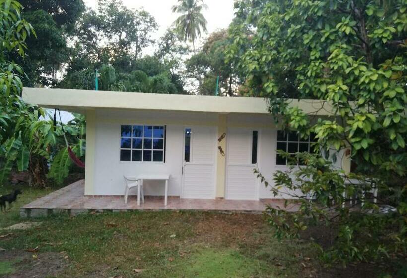 فندق صغير Posada Mango Tree