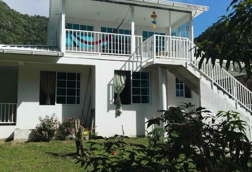 فندق صغير Posada Mango Tree