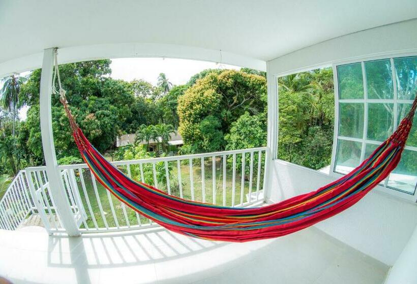 فندق صغير Posada Mango Tree