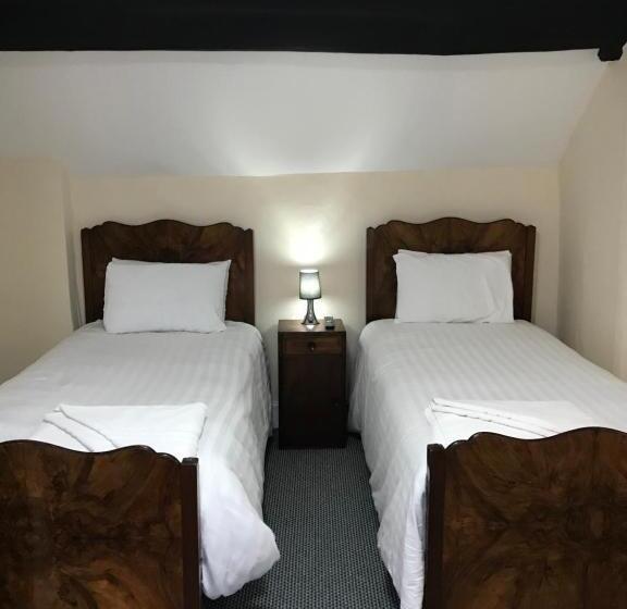 호스텔 The Black Swan Inn