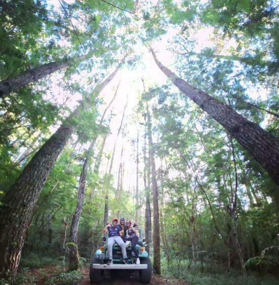 Black Lava Hostel And Lodge