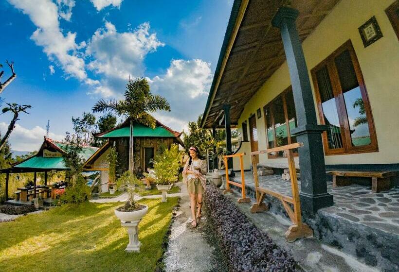 Black Lava Hostel And Lodge