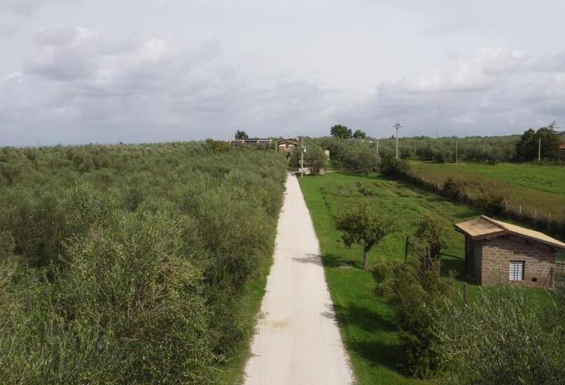 בית מלון כפרי Agriturismo I Due Casali