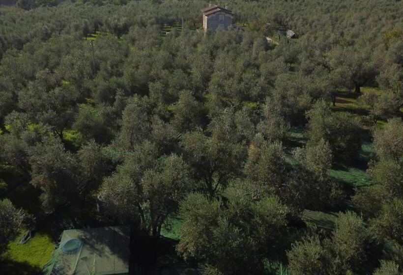 בית מלון כפרי Agriturismo I Due Casali