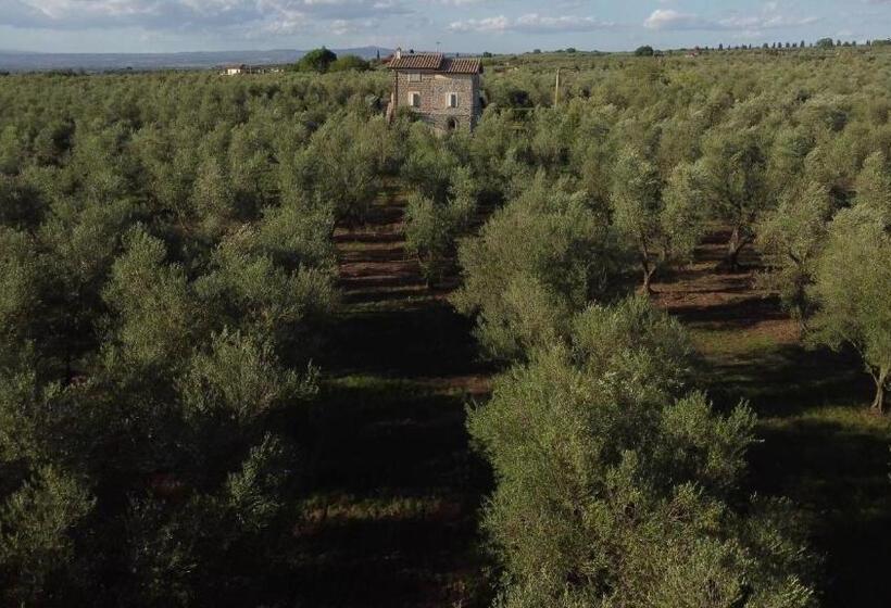 בית מלון כפרי Agriturismo I Due Casali