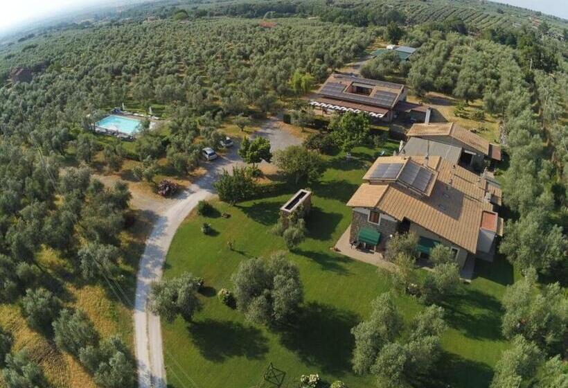 בית מלון כפרי Agriturismo I Due Casali