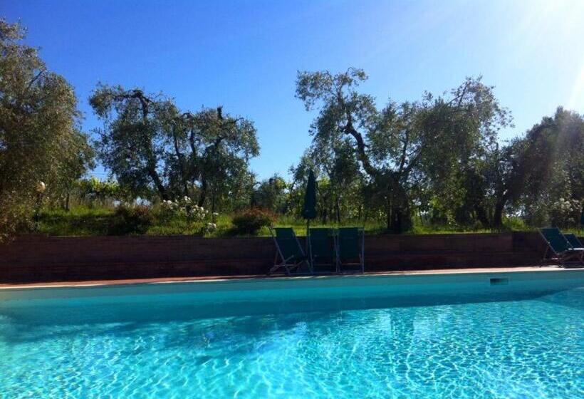 호텔 Agriturismo Il Prato