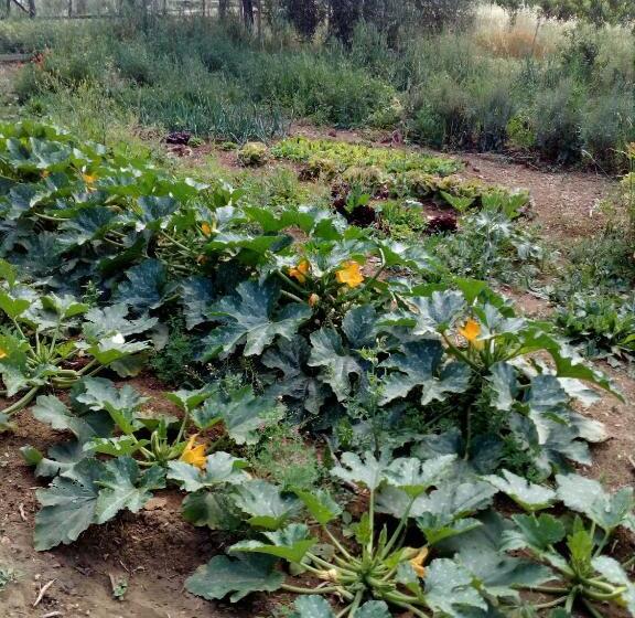 فندق Case Cordovani