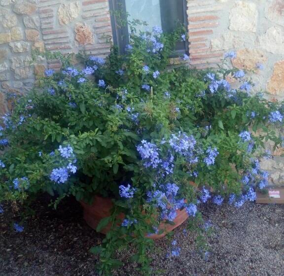 בית מלון כפרי Case Cordovani