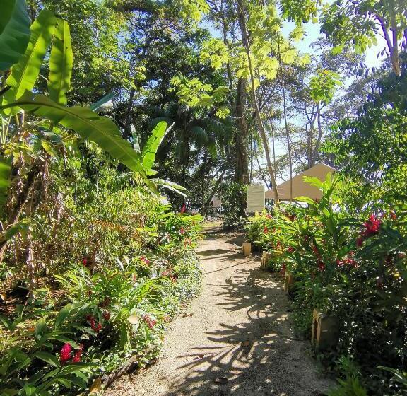 هتل Elan At Ballena Beach