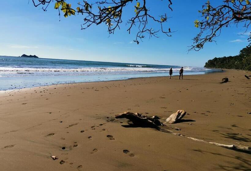 هتل Elan At Ballena Beach