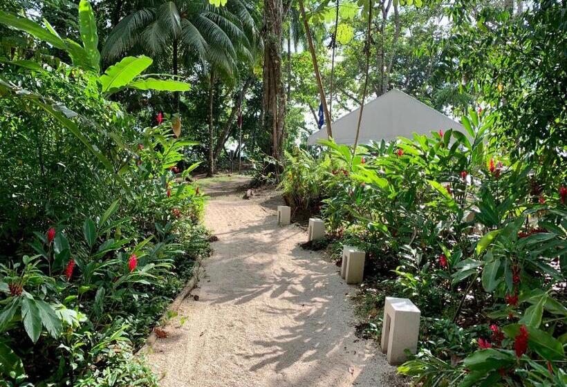 هتل Elan At Ballena Beach